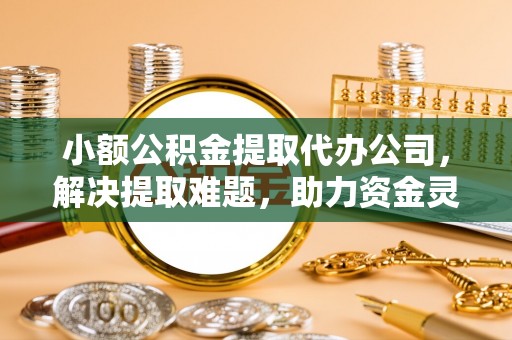 天峻小额公积金提取代办公司，解决提取难题，助力资金灵活使用