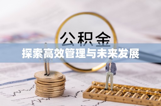 天峻探索高效管理与未来发展