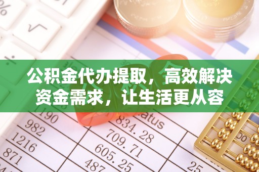 天峻公积金代办提取，高效解决资金需求，让生活更从容