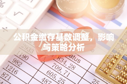 天峻公积金缴存基数调整，影响与策略分析
