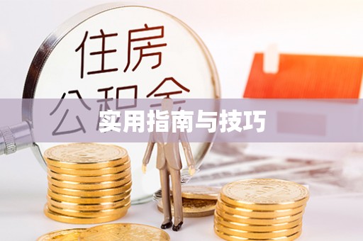 天峻实用指南与技巧