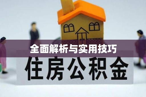 天峻全面解析与实用技巧