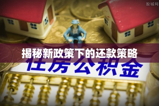 天峻揭秘新政策下的还款策略