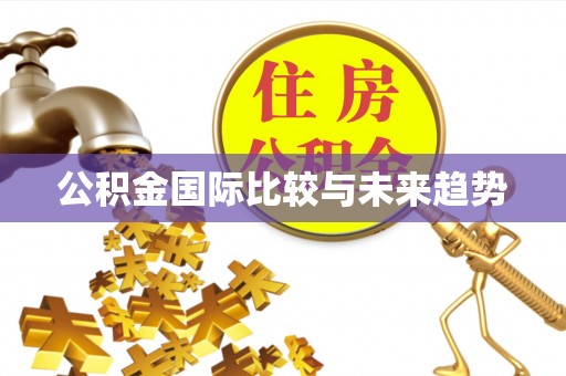天峻公积金国际比较与未来趋势