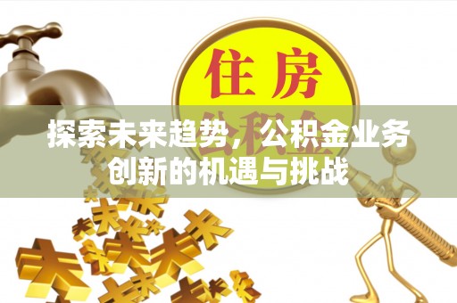 天峻探索未来趋势，公积金业务创新的机遇与挑战