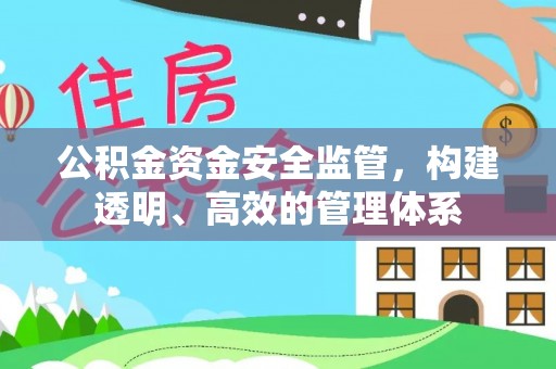 天峻公积金资金安全监管，构建透明、高效的管理体系