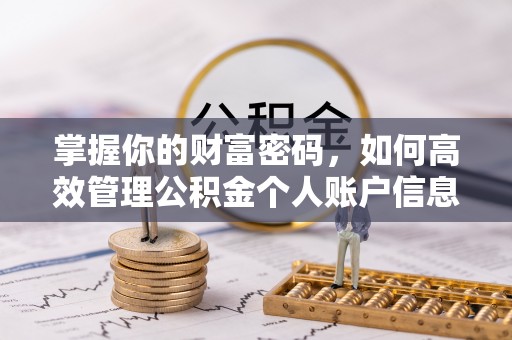 天峻掌握你的财富密码，如何高效管理公积金个人账户信息