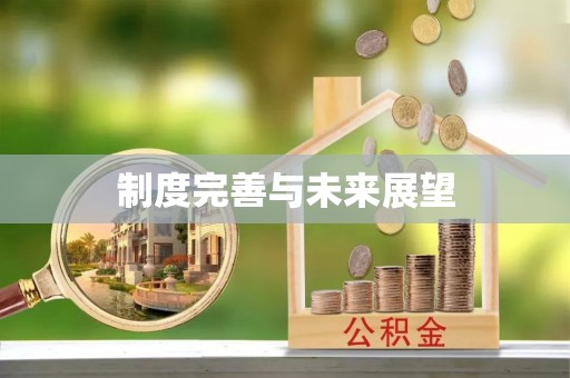 天峻制度完善与未来展望
