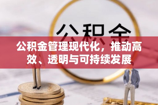 天峻公积金管理现代化，推动高效、透明与可持续发展