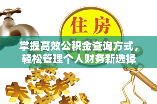 天峻掌握高效公积金查询方式，轻松管理个人财务新选择