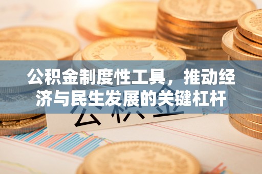 天峻公积金制度性工具，推动经济与民生发展的关键杠杆