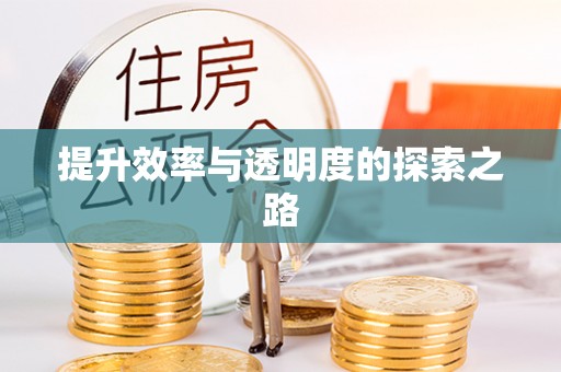 天峻提升效率与透明度的探索之路