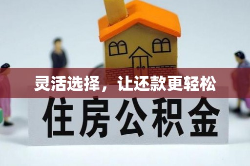 天峻灵活选择，让还款更轻松