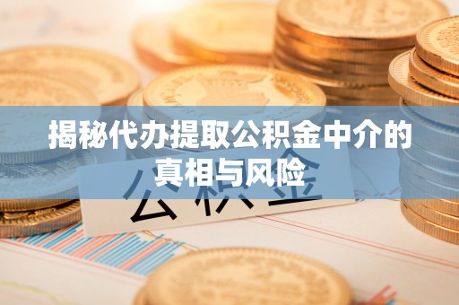 天峻揭秘代办提取公积金中介的真相与风险
