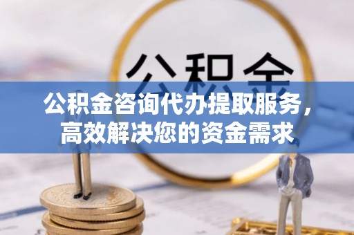 天峻公积金咨询代办提取服务，高效解决您的资金需求