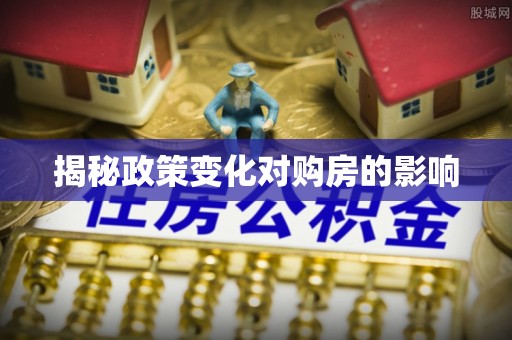天峻揭秘政策变化对购房的影响