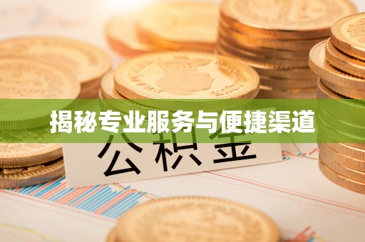 天峻揭秘专业服务与便捷渠道