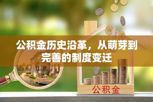 天峻公积金历史沿革，从萌芽到完善的制度变迁