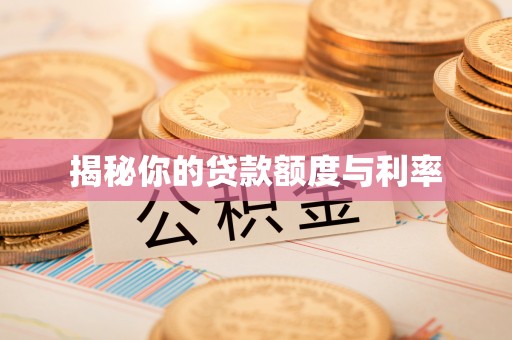 天峻揭秘你的贷款额度与利率