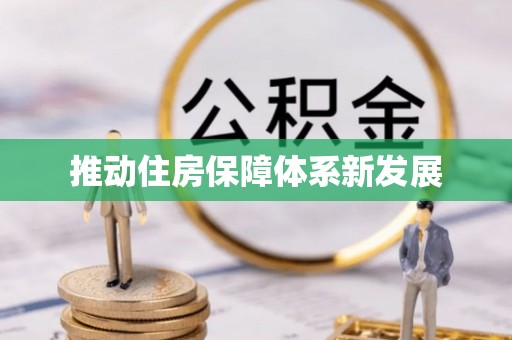 天峻推动住房保障体系新发展