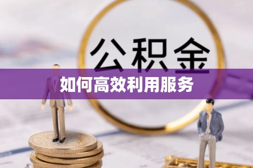 天峻如何高效利用服务