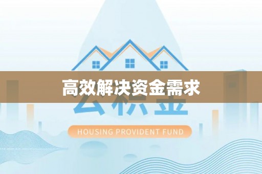 天峻高效解决资金需求