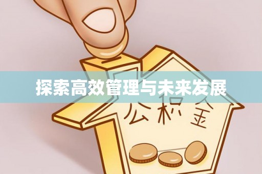 天峻探索高效管理与未来发展