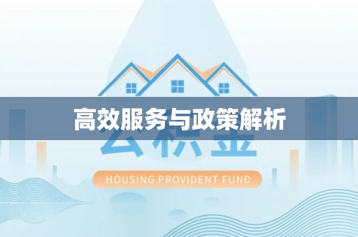 天峻高效服务与政策解析