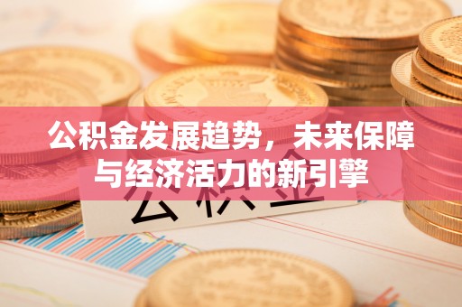 天峻公积金发展趋势，未来保障与经济活力的新引擎
