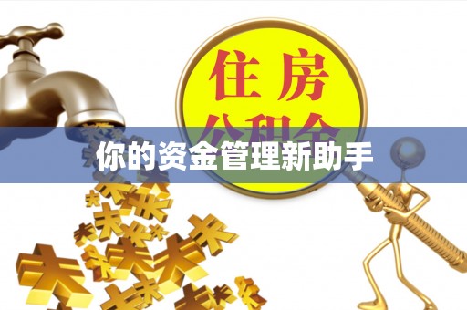 天峻你的资金管理新助手
