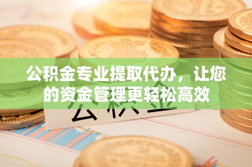 天峻公积金专业提取代办，让您的资金管理更轻松高效