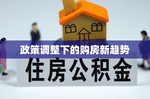 天峻政策调整下的购房新趋势