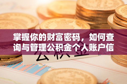 天峻掌握你的财富密码，如何查询与管理公积金个人账户信息