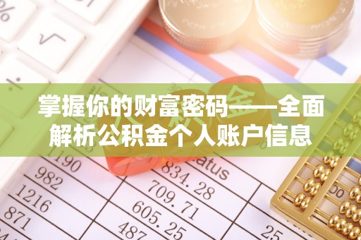 天峻掌握你的财富密码——全面解析公积金个人账户信息