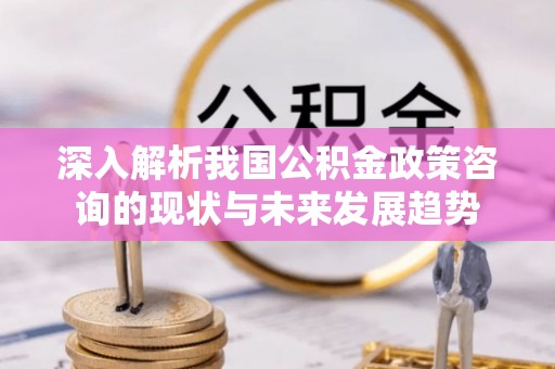 天峻深入解析我国公积金政策咨询的现状与未来发展趋势