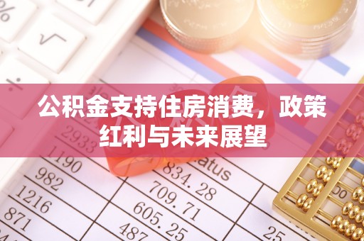 天峻公积金支持住房消费，政策红利与未来展望