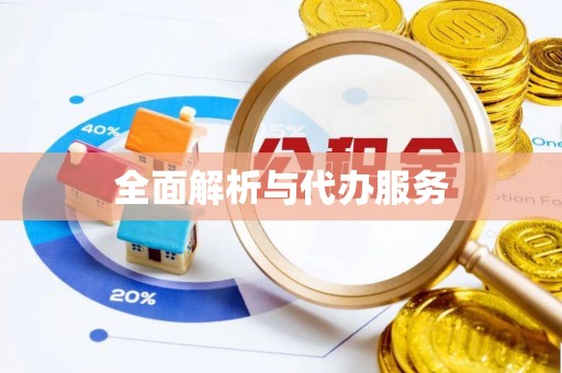 天峻全面解析与代办服务