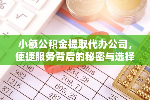 天峻小额公积金提取代办公司，便捷服务背后的秘密与选择指南