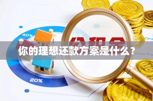 天峻你的理想还款方案是什么？