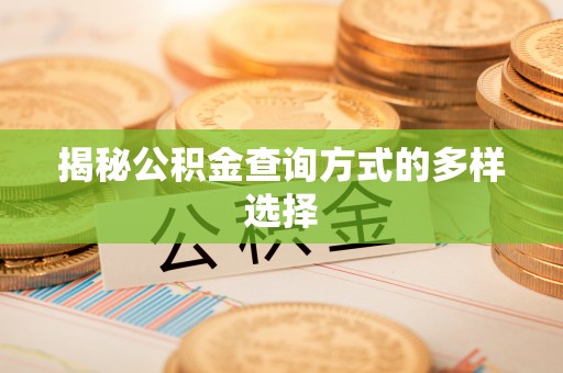 天峻揭秘公积金查询方式的多样选择