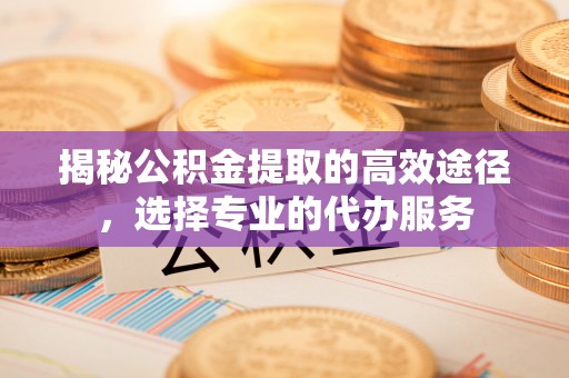 天峻揭秘公积金提取的高效途径，选择专业的代办服务