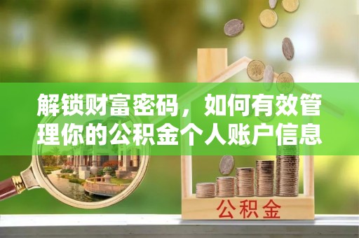天峻解锁财富密码，如何有效管理你的公积金个人账户信息