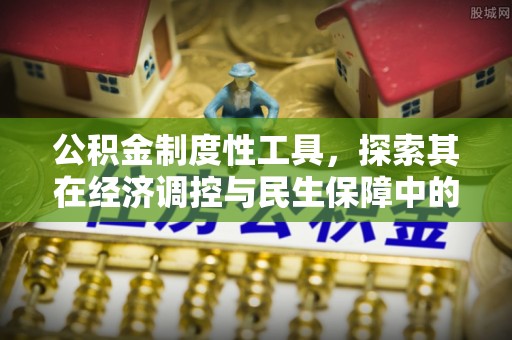 天峻公积金制度性工具，探索其在经济调控与民生保障中的重要作用