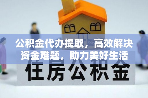 天峻公积金代办提取，高效解决资金难题，助力美好生活