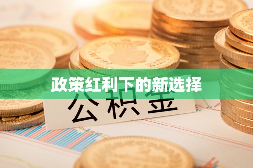 天峻政策红利下的新选择