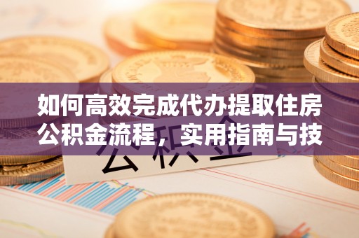 天峻如何高效完成代办提取住房公积金流程，实用指南与技巧