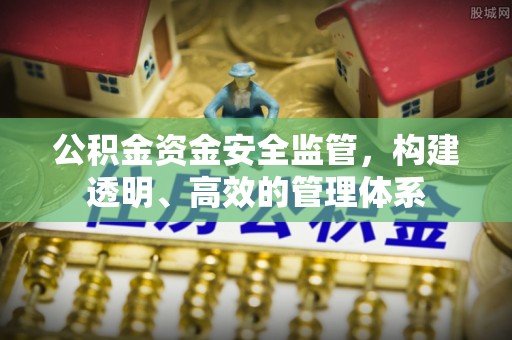 天峻公积金资金安全监管，构建透明、高效的管理体系