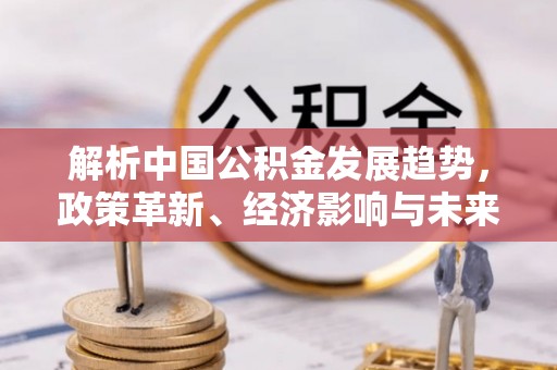 天峻解析中国公积金发展趋势，政策革新、经济影响与未来展望