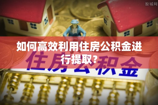 天峻如何高效利用住房公积金进行提取？