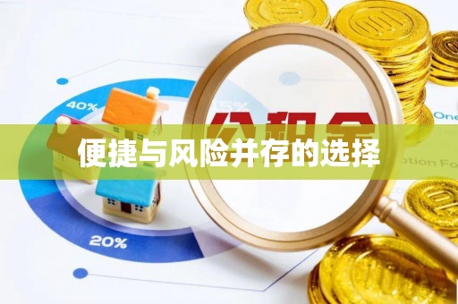 天峻便捷与风险并存的选择